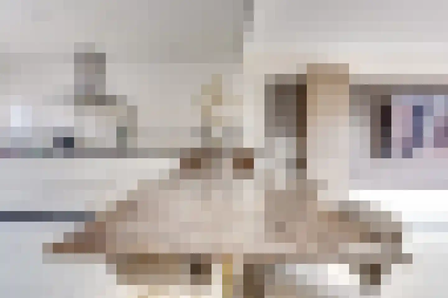 Zebraspoor 704 Maarssen thumbnail 18