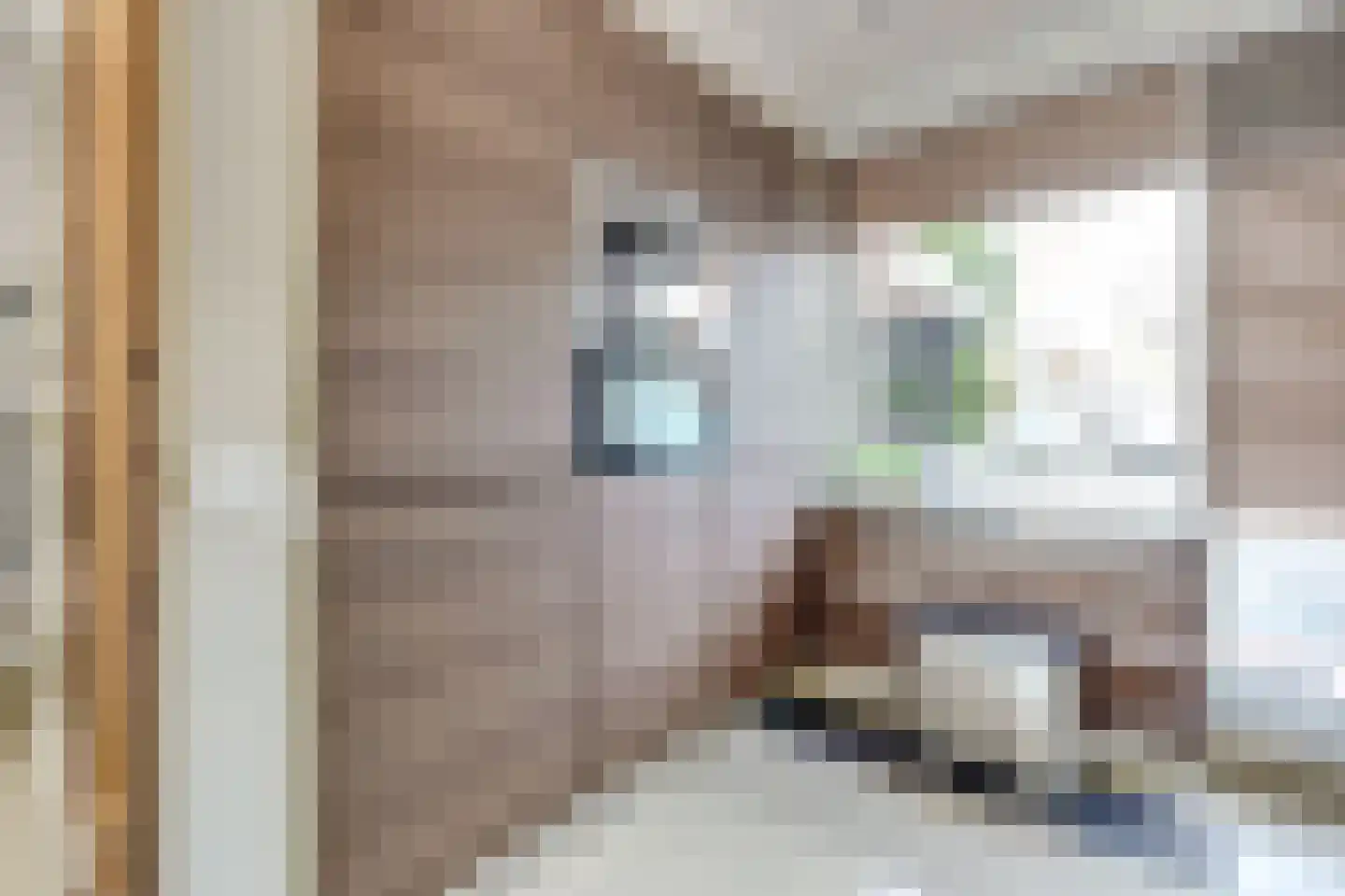 Zebraspoor 704 Maarssen thumbnail 21