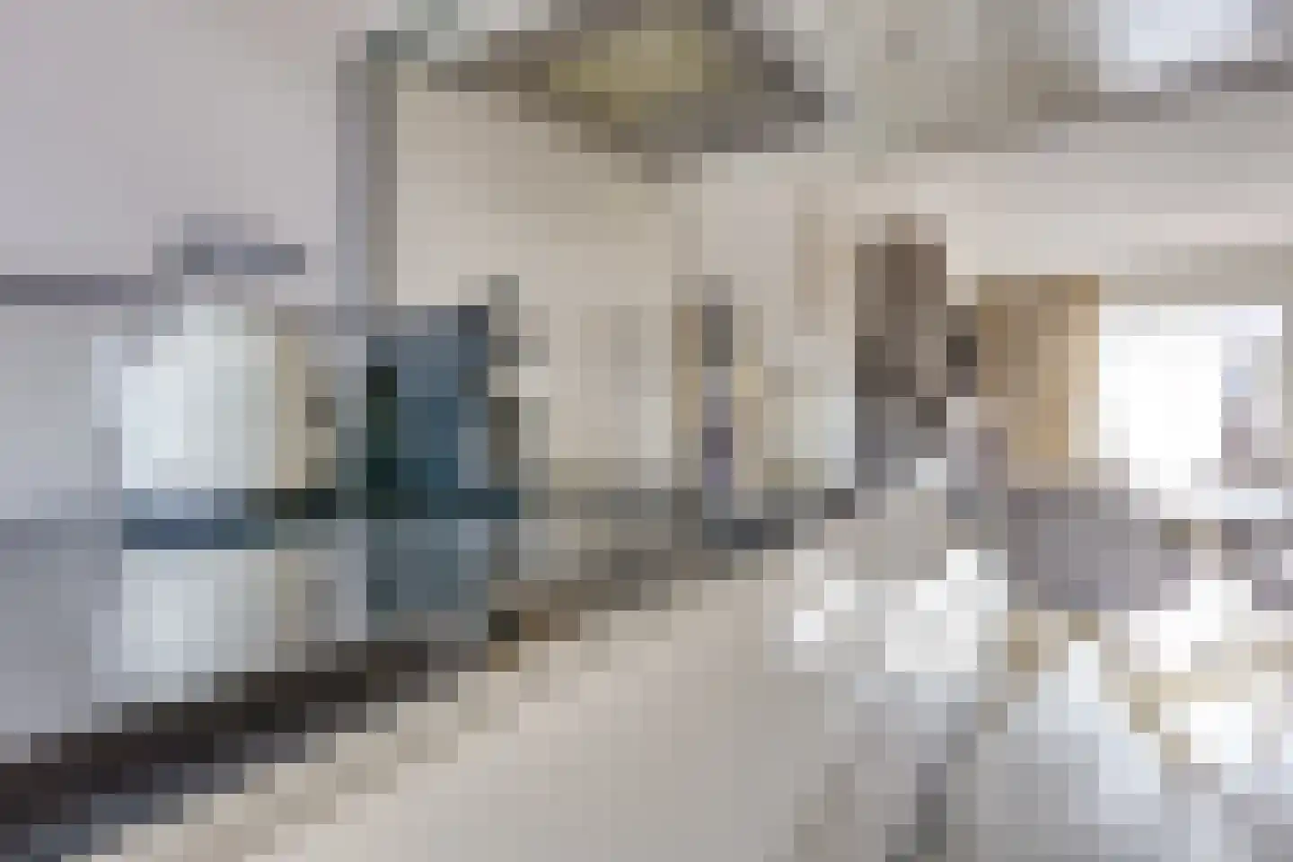 Zebraspoor 704 Maarssen thumbnail 23