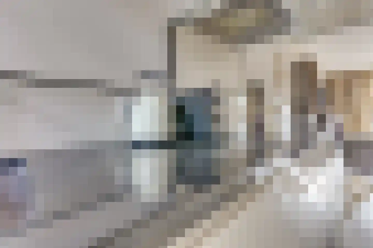 Zebraspoor 704 Maarssen thumbnail 24