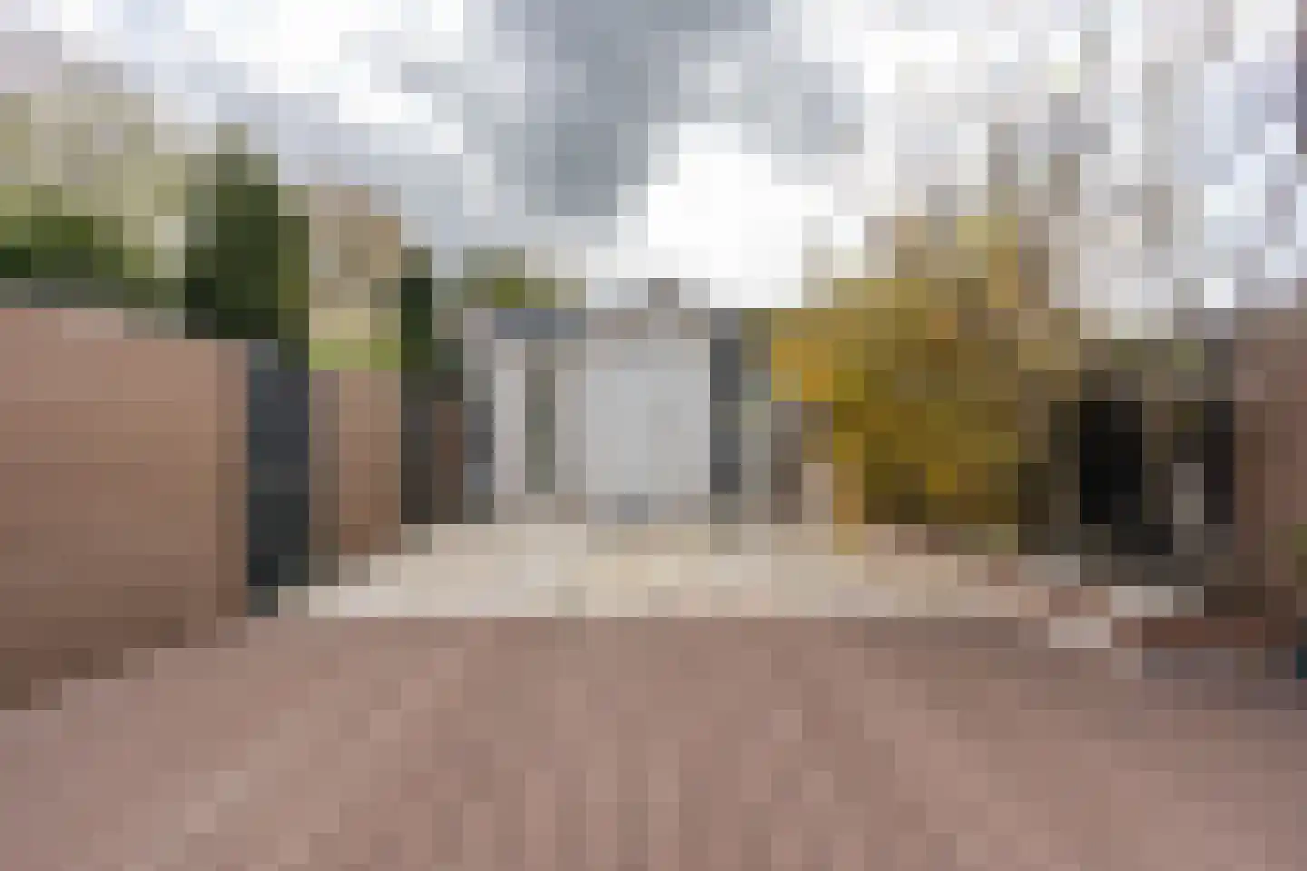 Zebraspoor 704 Maarssen thumbnail 28