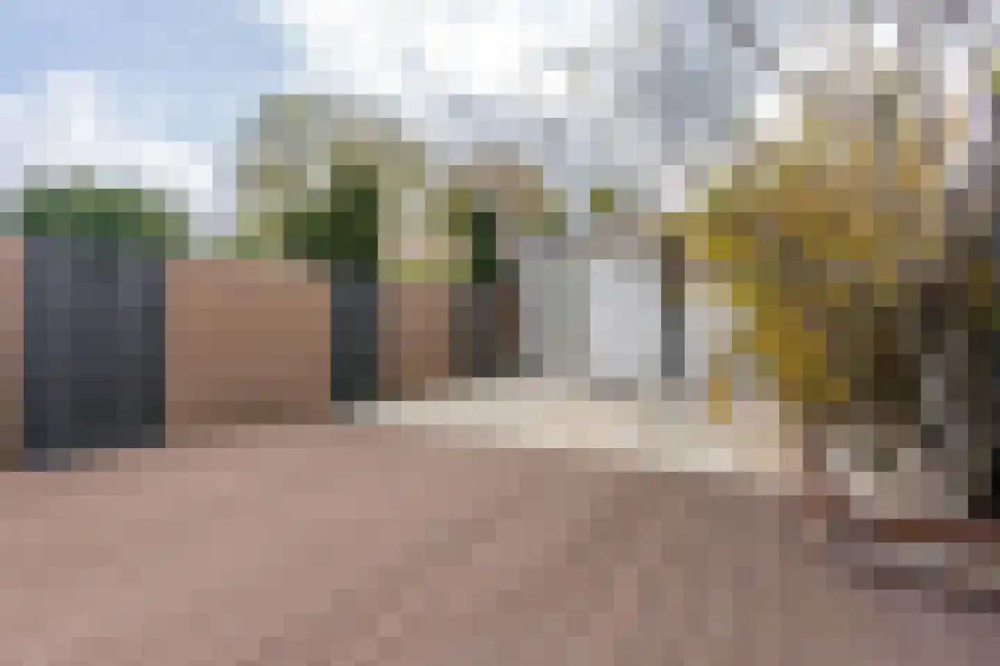 Zebraspoor 704 Maarssen thumbnail 29