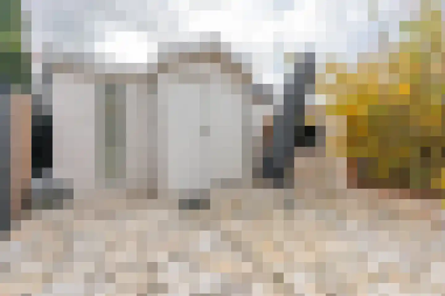 Zebraspoor 704 Maarssen thumbnail 30