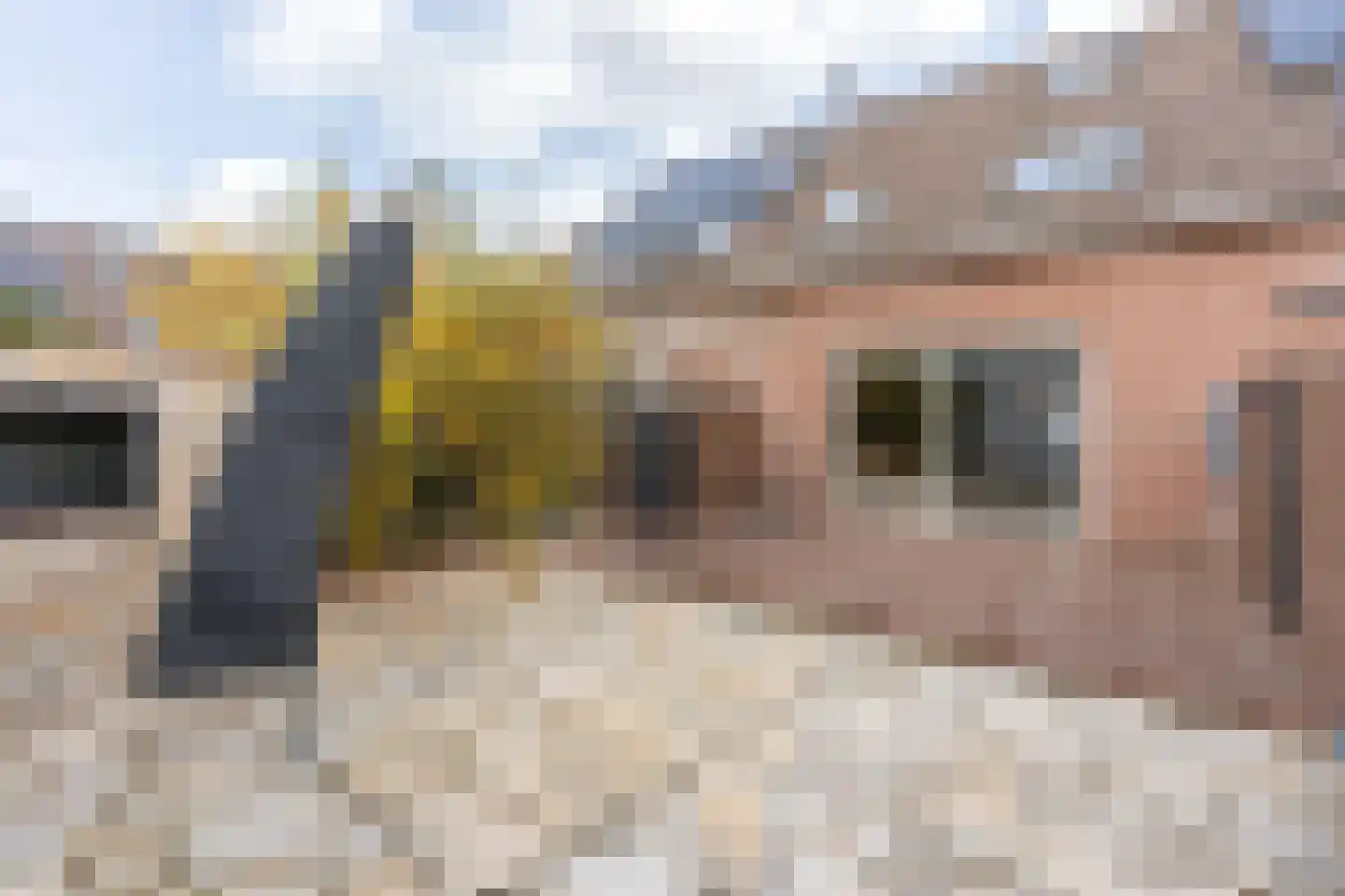 Zebraspoor 704 Maarssen thumbnail 31