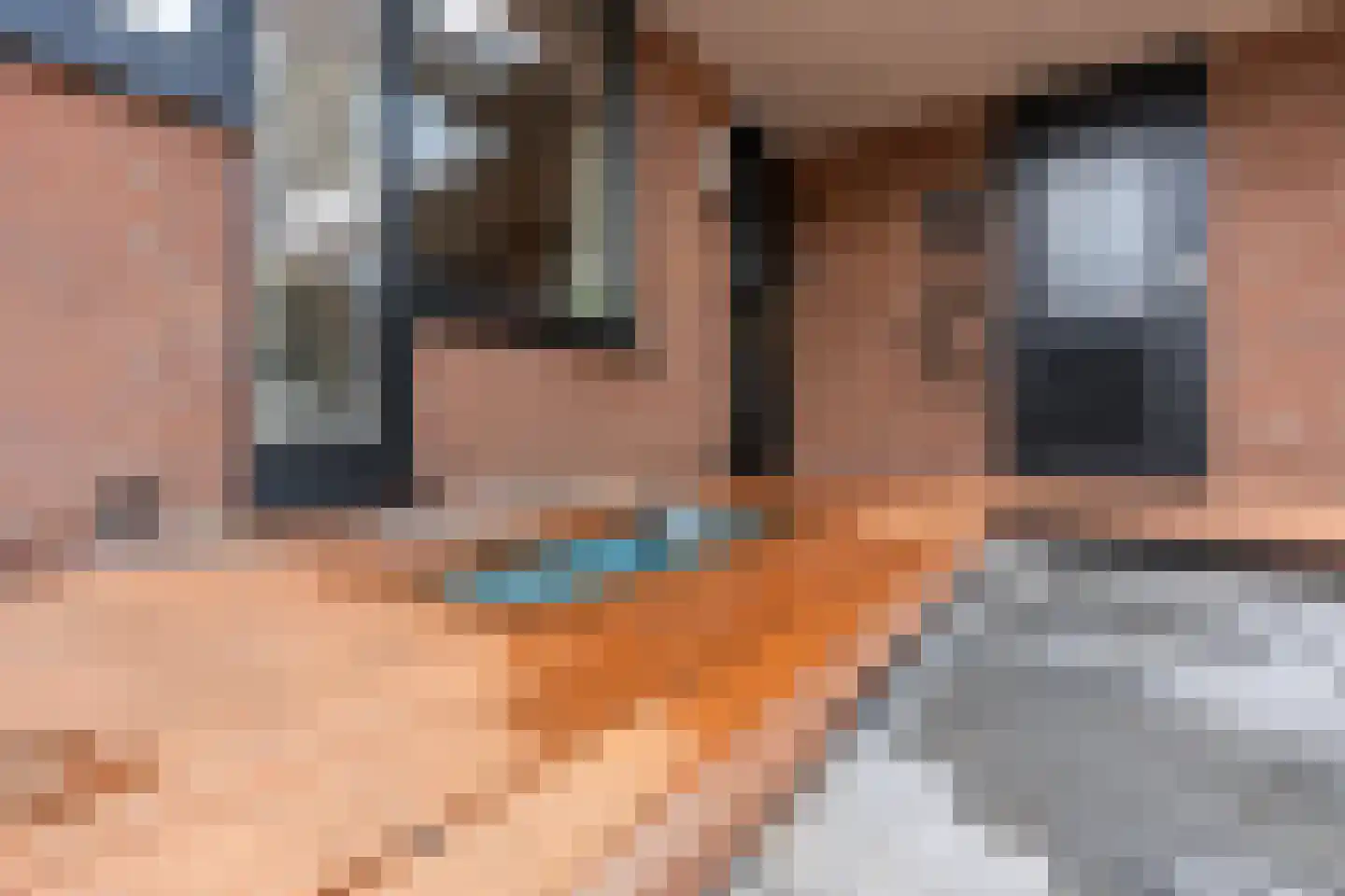 Zebraspoor 704 Maarssen thumbnail 4