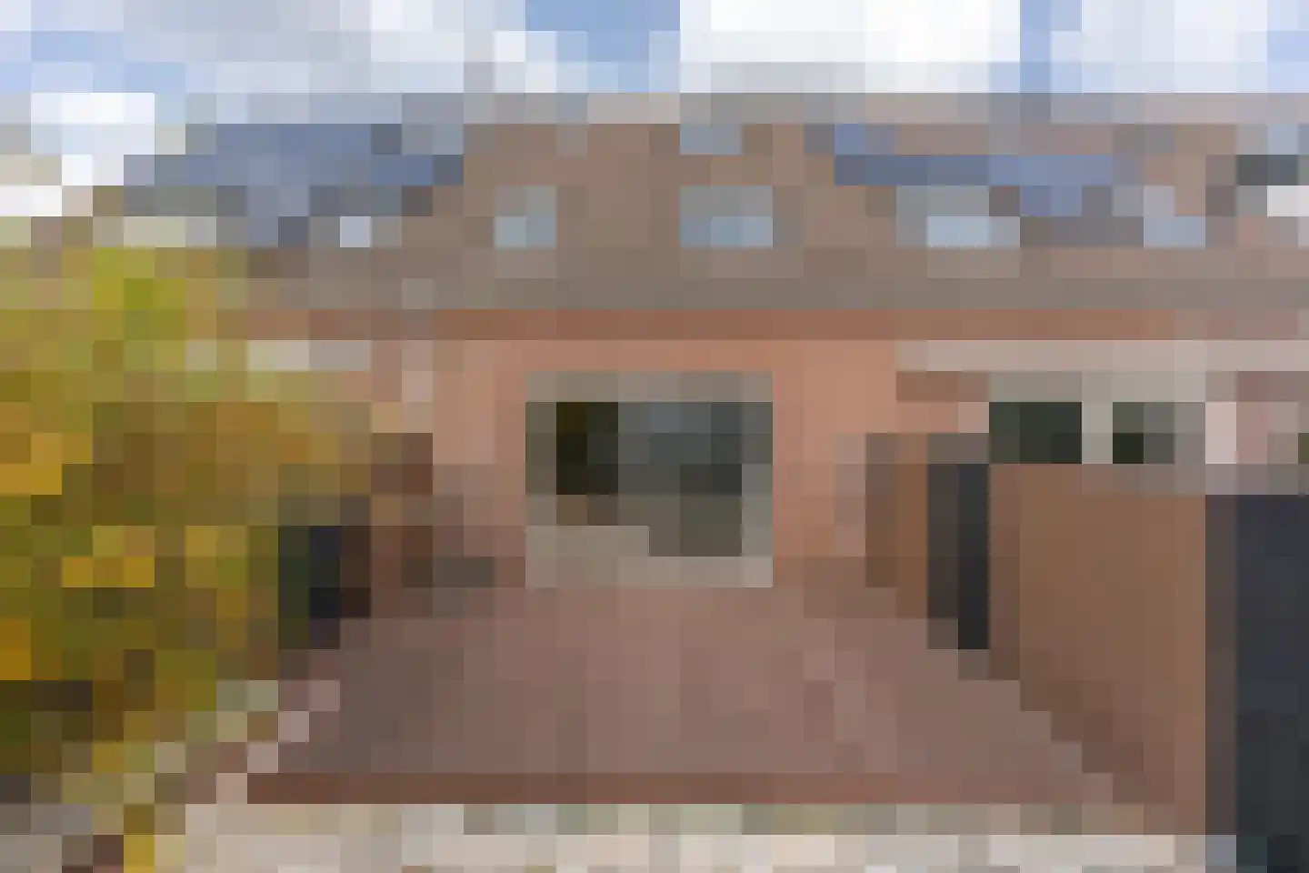 Zebraspoor 704 Maarssen thumbnail 43