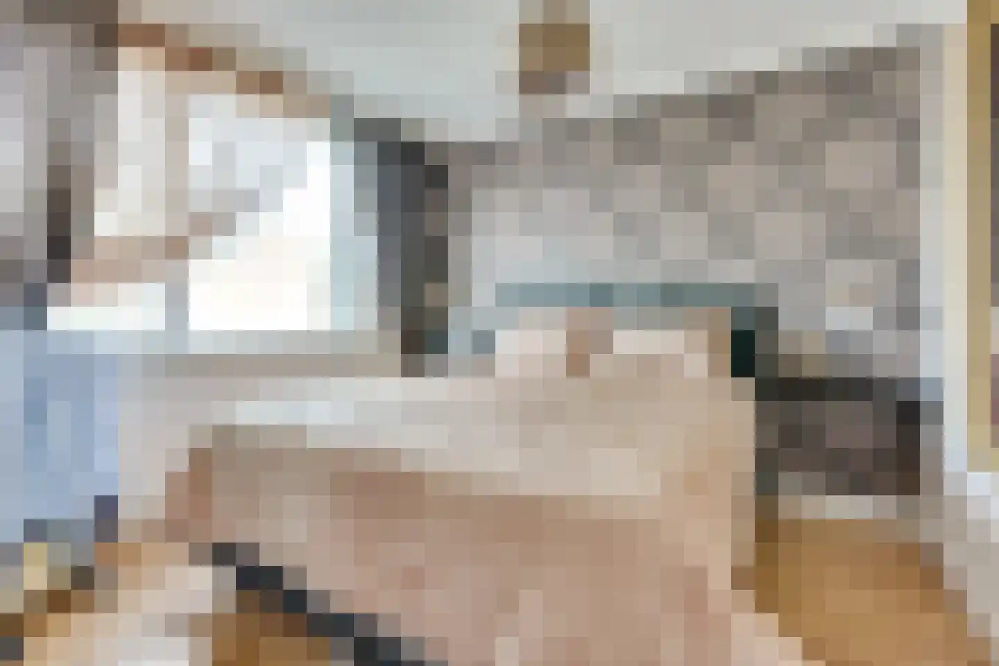 Zebraspoor 704 Maarssen thumbnail 46