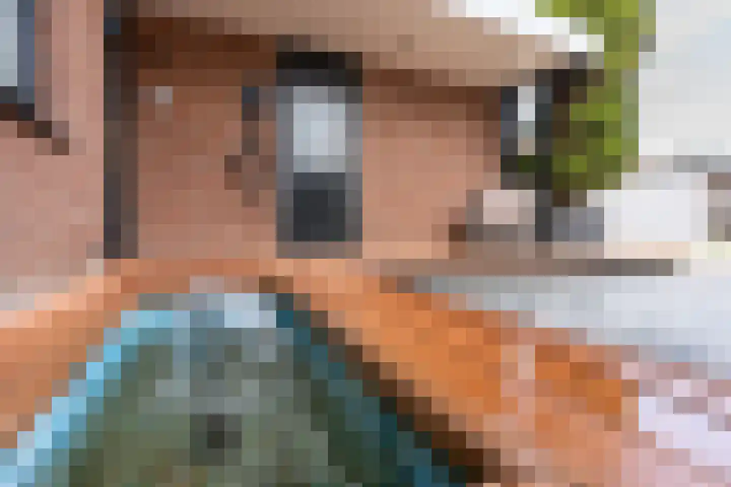 Zebraspoor 704 Maarssen thumbnail 5