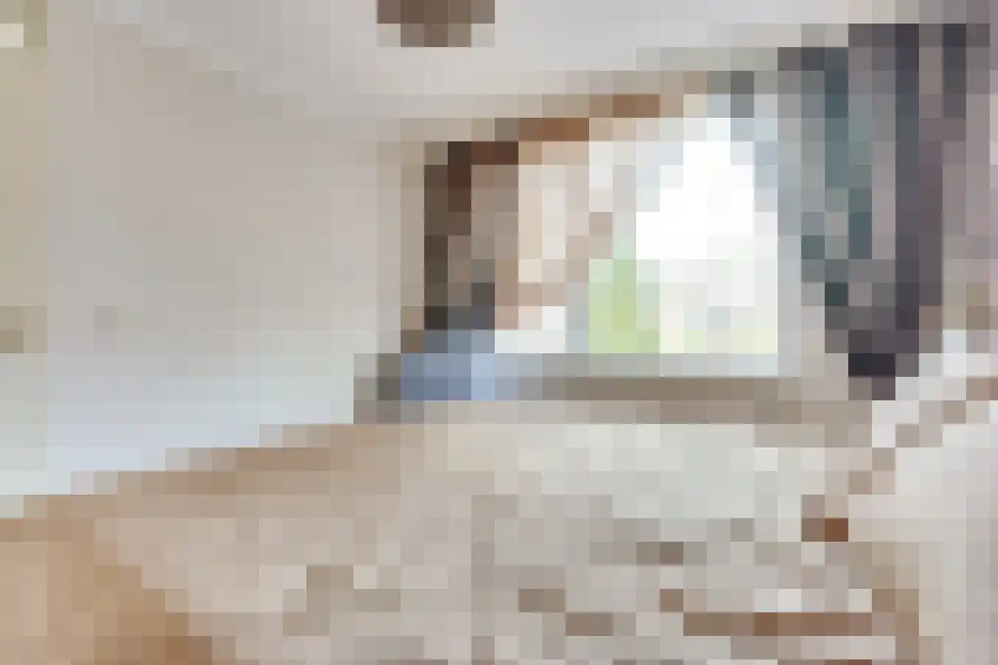 Zebraspoor 704 Maarssen thumbnail 50