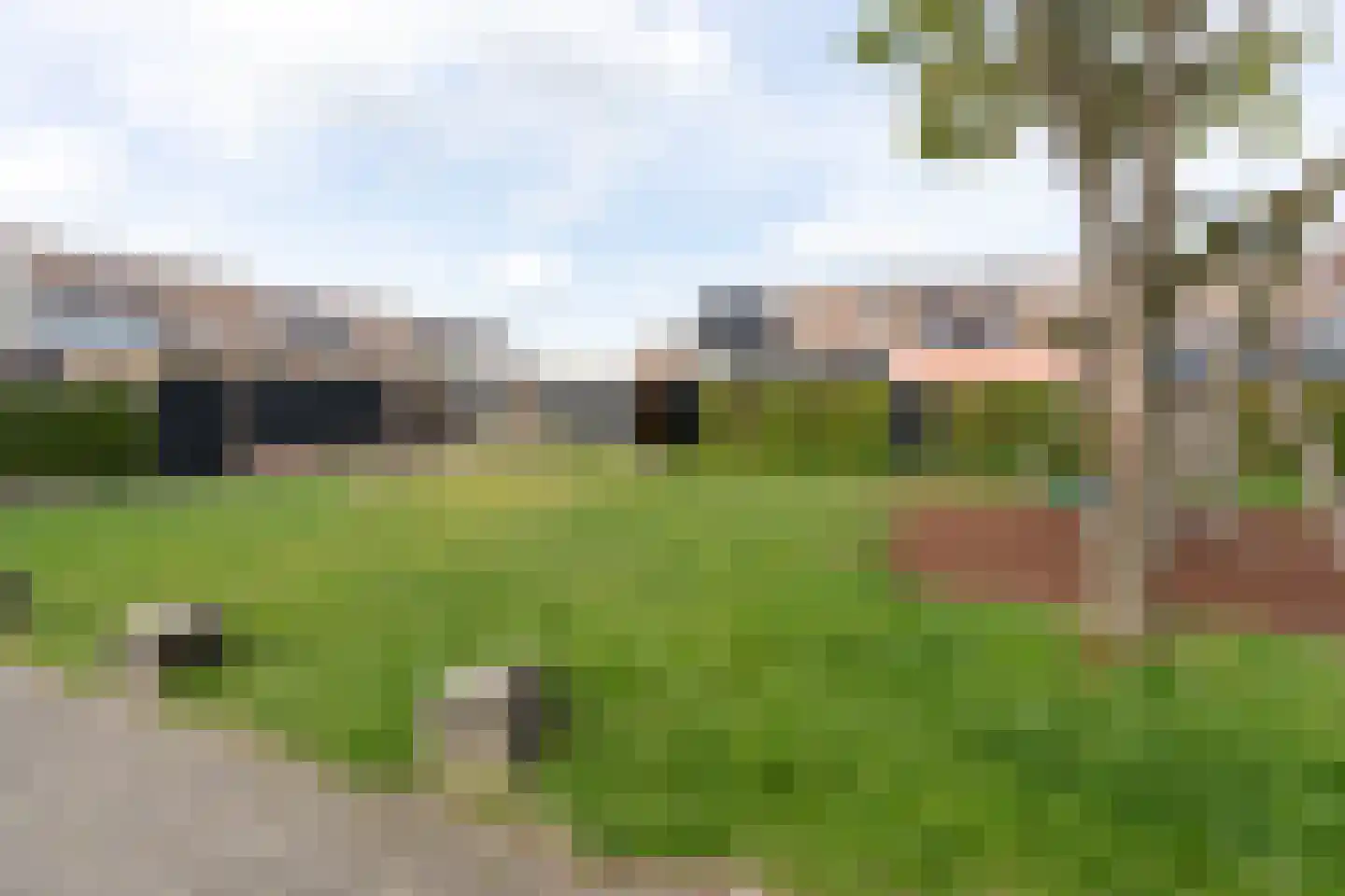 Zebraspoor 704 Maarssen thumbnail 66