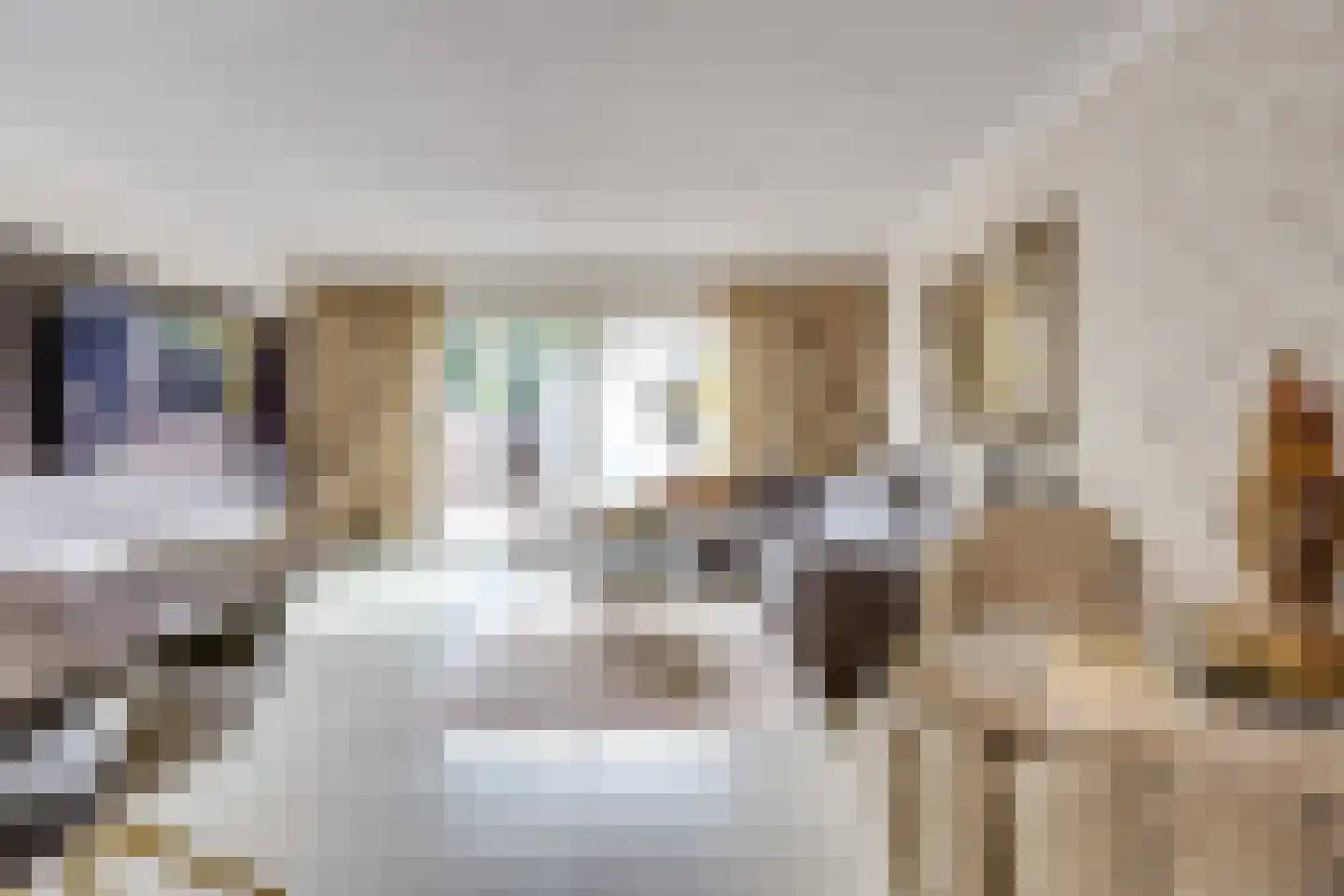 Zebraspoor 704 Maarssen thumbnail 9