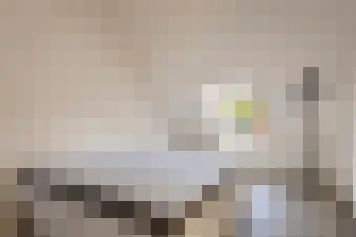 Zebrastraat 12 Rotterdam thumbnail 13