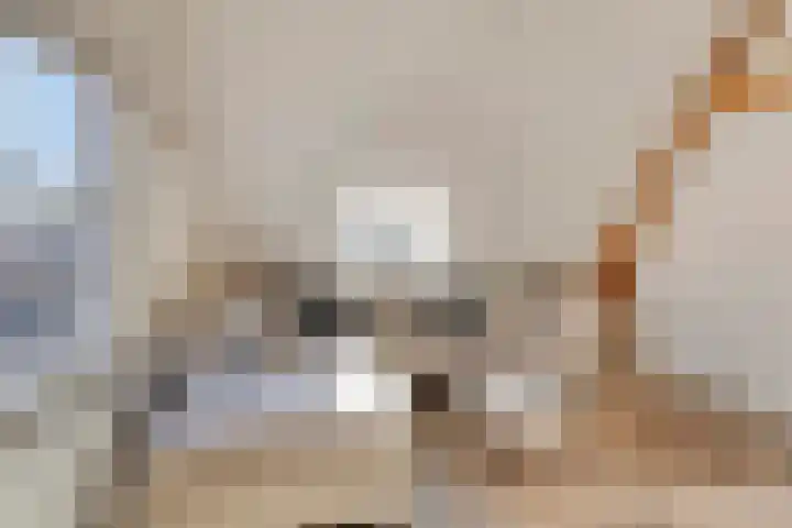 Zebrastraat 12 Rotterdam thumbnail 5