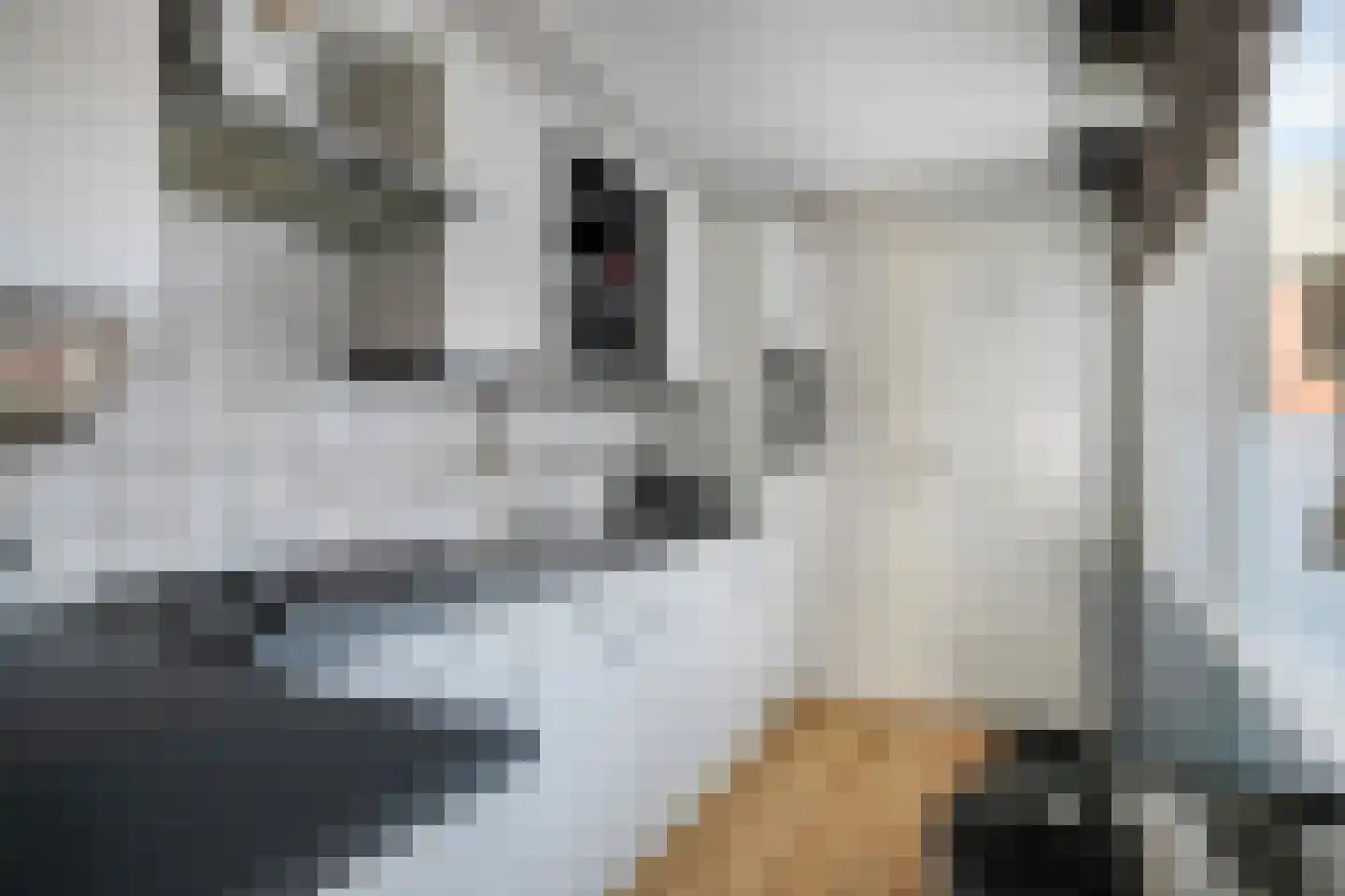 Zebrastraat 21 Rotterdam thumbnail 10