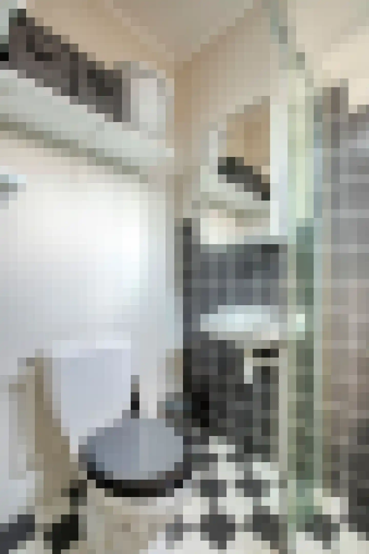 Zebrastraat 21 Rotterdam thumbnail 13