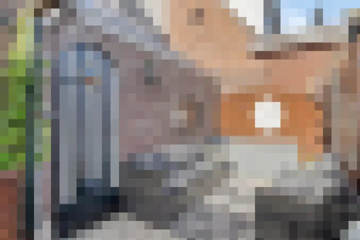 Zebrastraat 21 Rotterdam thumbnail 15