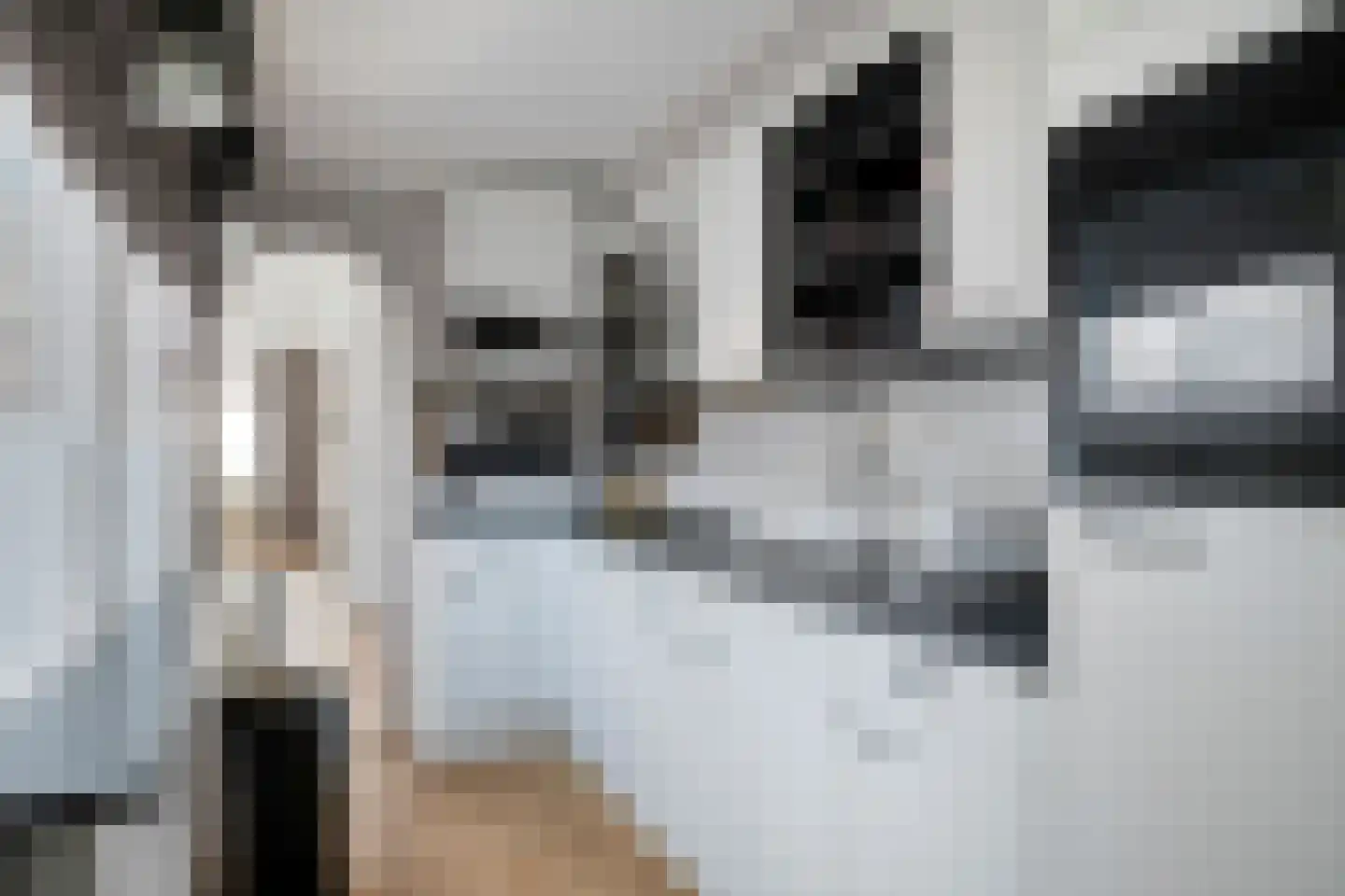 Zebrastraat 21 Rotterdam thumbnail 4