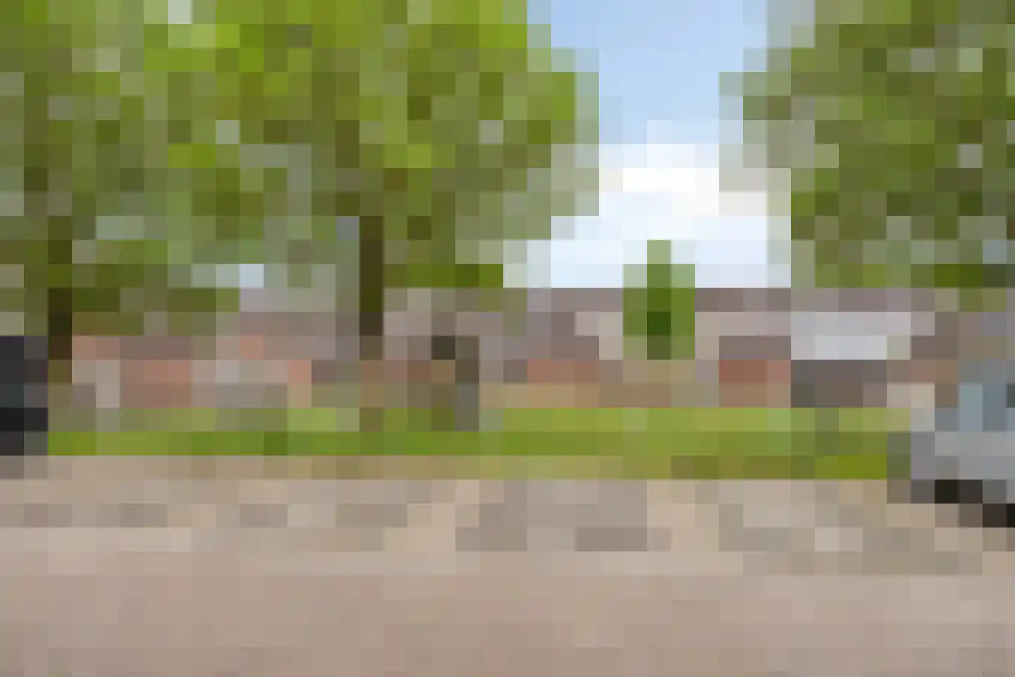 Zebravink 13 Veenendaal thumbnail 23