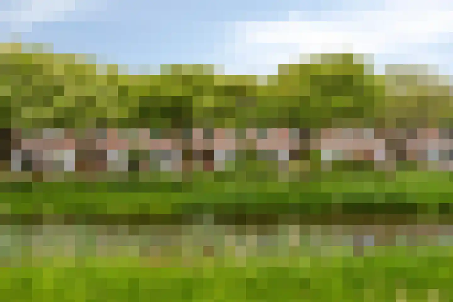 Zebravink 13 Veenendaal thumbnail 5