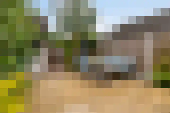 Zebravink 27 Veenendaal thumbnail 28