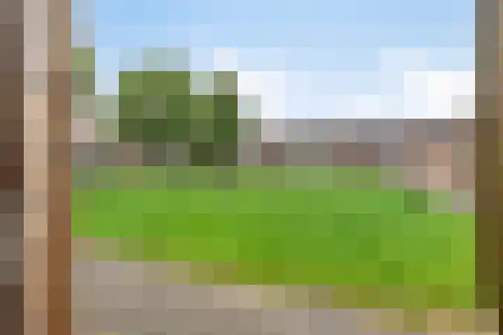 Zebravink 27 Veenendaal thumbnail 32