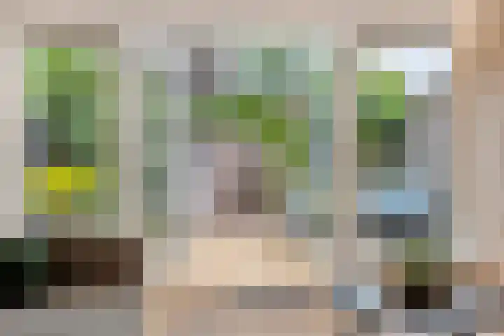 Zebravink 27 Veenendaal thumbnail 5