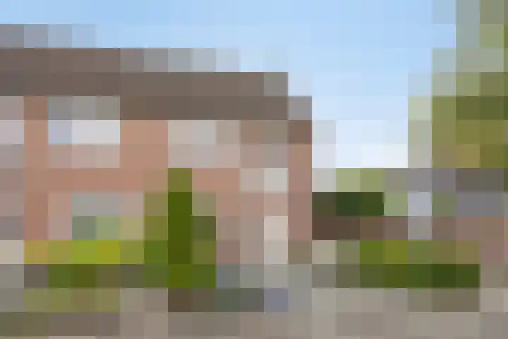 Zebravink 27 Veenendaal thumbnail 6