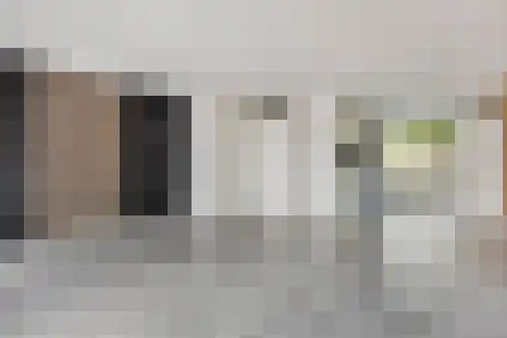 Zebravink 3 Veenendaal thumbnail 11