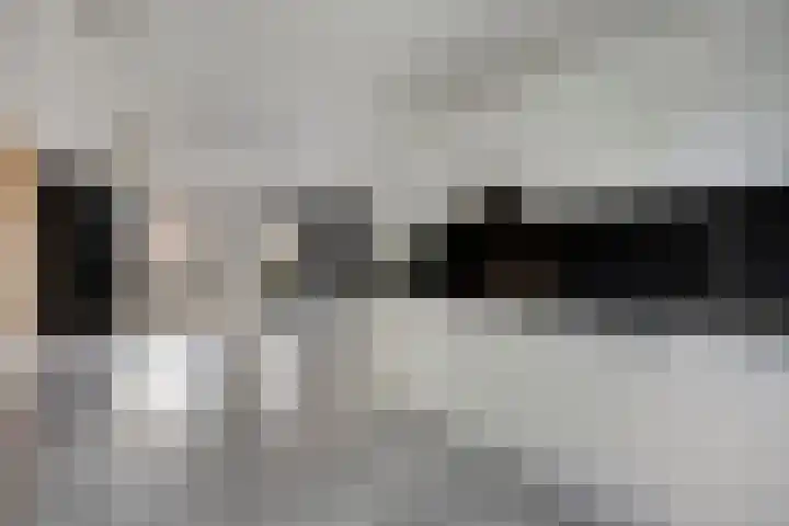 Zebravink 3 Veenendaal thumbnail 13