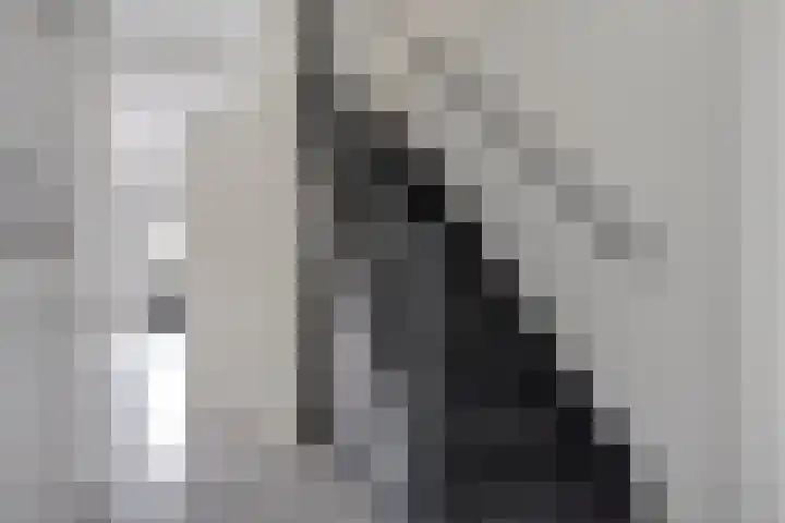 Zebravink 3 Veenendaal thumbnail 15