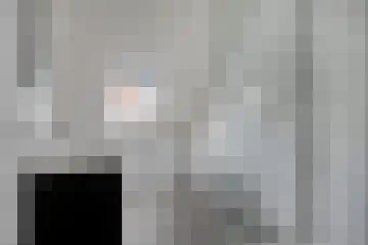 Zebravink 3 Veenendaal thumbnail 18