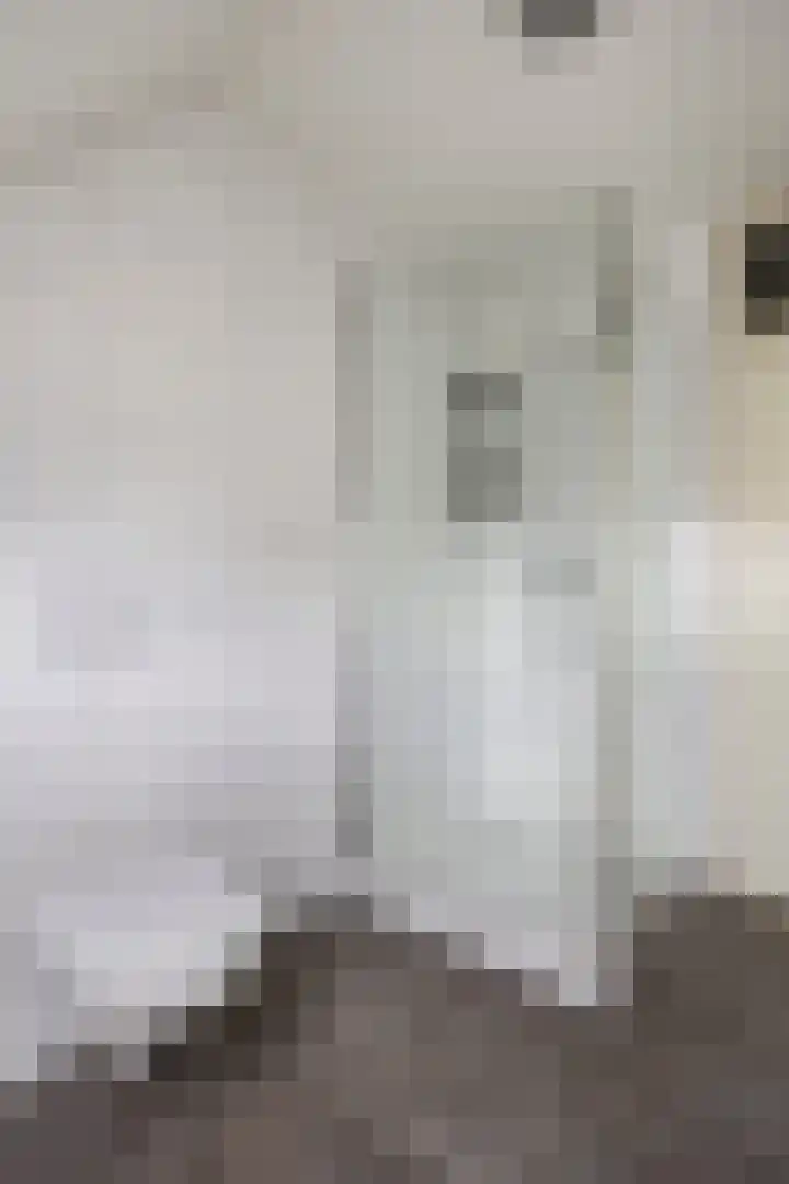 Zebravink 3 Veenendaal thumbnail 20