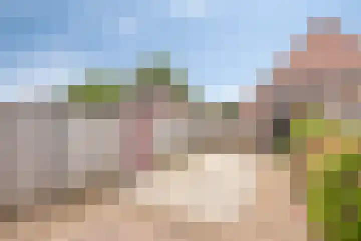 Zebravink 3 Veenendaal thumbnail 24