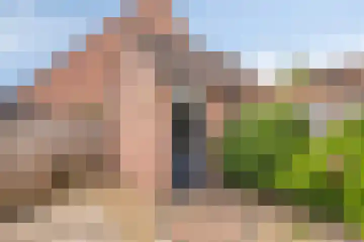Zebravink 3 Veenendaal thumbnail 26