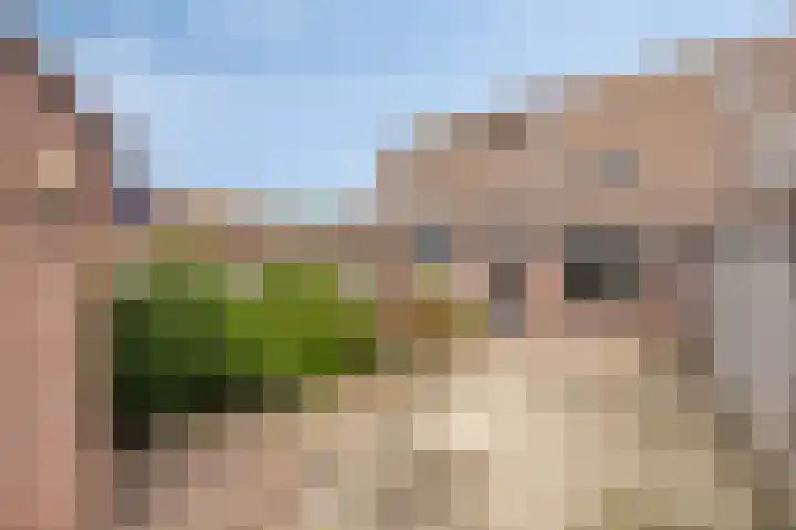 Zebravink 3 Veenendaal thumbnail 29