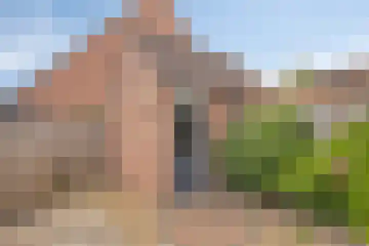 Zebravink 3 Veenendaal thumbnail 30