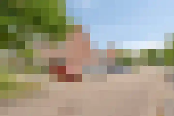 Zebravink 3 Veenendaal thumbnail 32