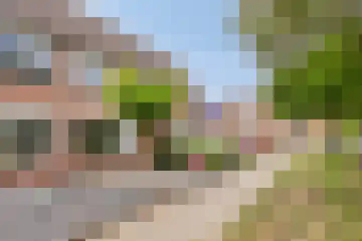 Zebravink 3 Veenendaal thumbnail 33
