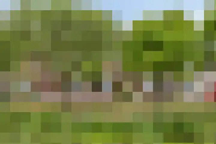 Zebravink 3 Veenendaal thumbnail 38