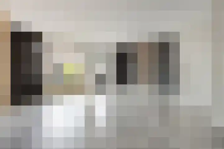 Zebravink 3 Veenendaal thumbnail 4