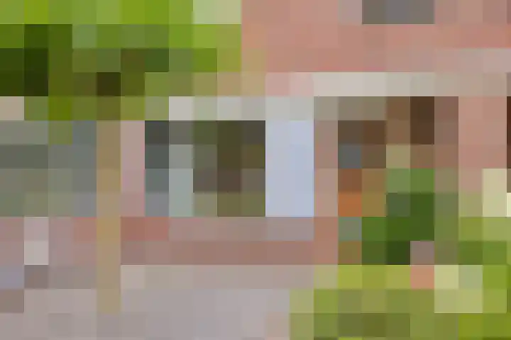 Zebravink 3 Veenendaal thumbnail 5