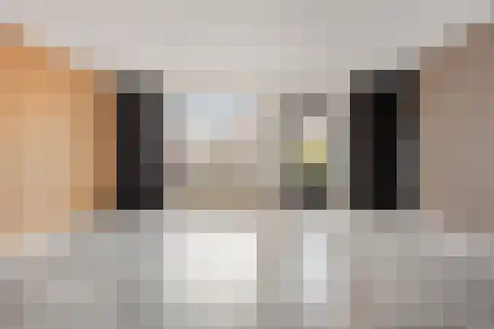 Zebravink 3 Veenendaal thumbnail 9