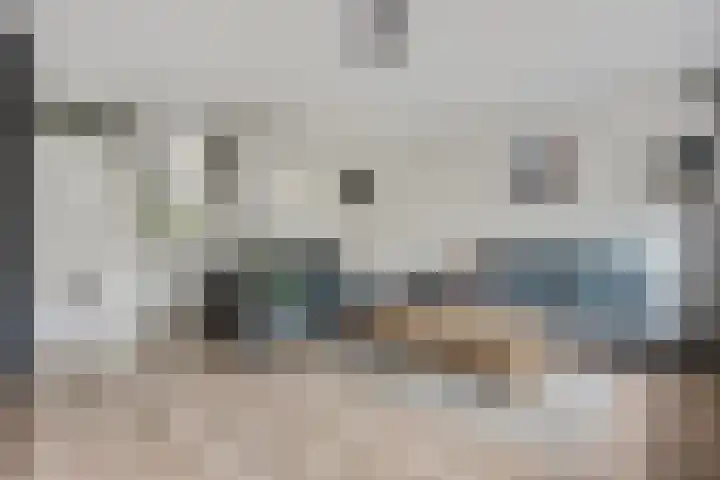 Zebravink 8 Veenendaal thumbnail 10