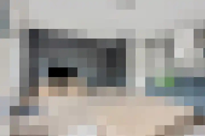 Zebravink 8 Veenendaal thumbnail 11