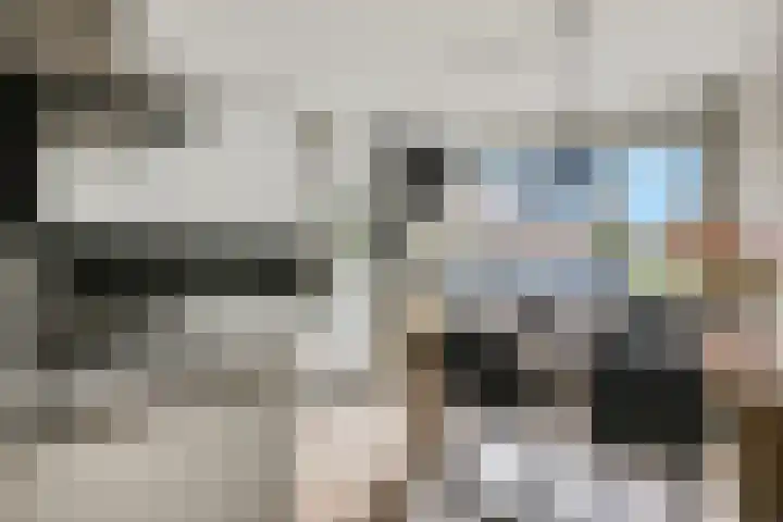 Zebravink 8 Veenendaal thumbnail 12