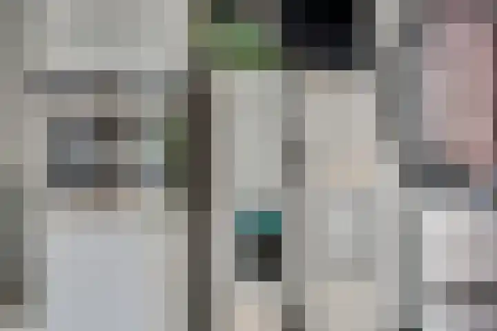 Zebravink 8 Veenendaal thumbnail 14