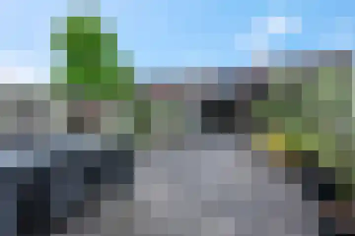 Zebravink 8 Veenendaal thumbnail 26