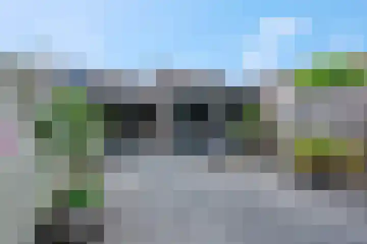 Zebravink 8 Veenendaal thumbnail 27