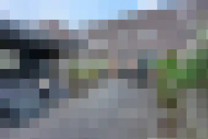 Zebravink 8 Veenendaal thumbnail 30