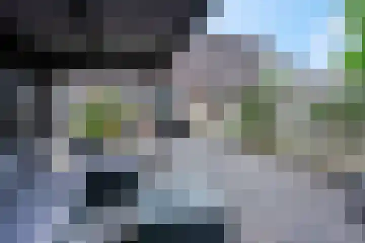 Zebravink 8 Veenendaal thumbnail 31